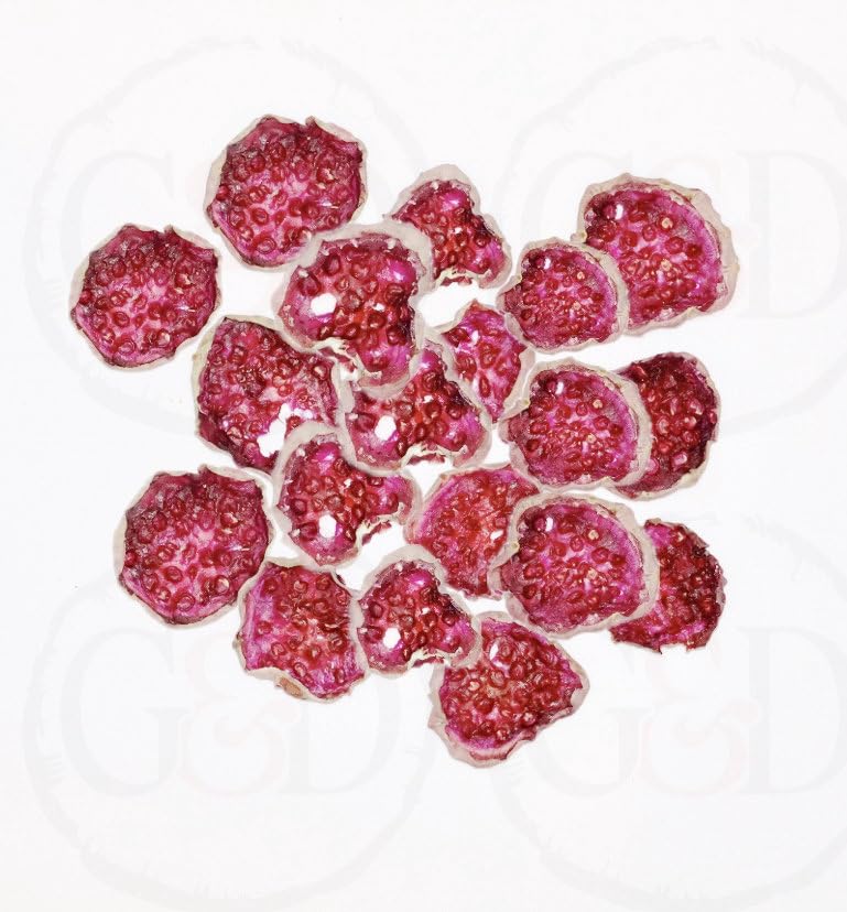 Prickly Pear Slices - Garnishes and Dreams
