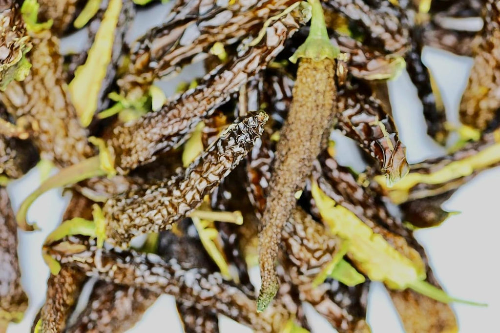 Jalapeño Halfs - Garnishes and Dreams