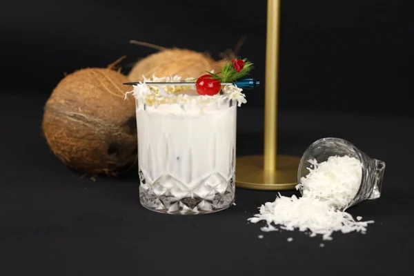 SHREDDED COCONUT - Image 3